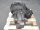 JH3-103 Schaltgetriebe 820024 7902 NISSAN Micra III K12 1.2 48kw 2003 |448
