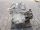 5-Gang Schaltgetriebe Getriebe 3201073B08 NISSAN Micra K11 1.0 40kw >07.2000|099